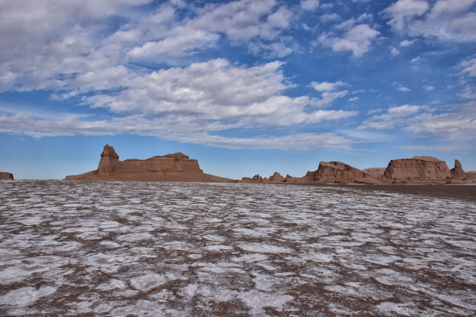 DSC_0376-01