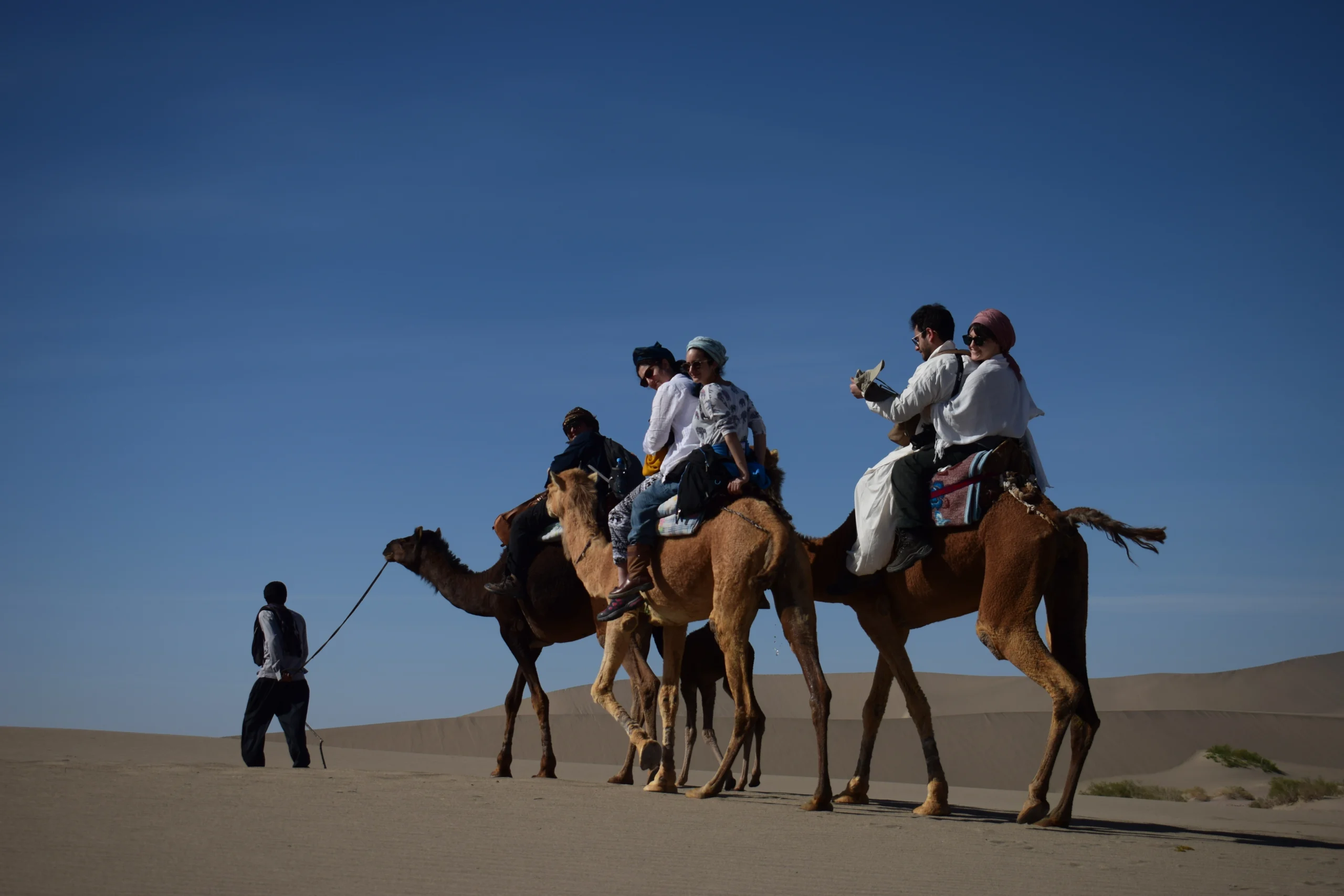 Camel riding 1 scaled